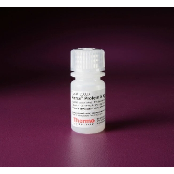PIERCE PROTEIN A AGAROSE, 5 ML.，20333，赛默飞世尔