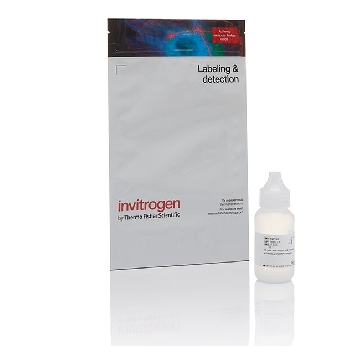 GAM IGG 2ND ANTIBODY, POLY HRP 22.5 ML，B40961，Invitrogen