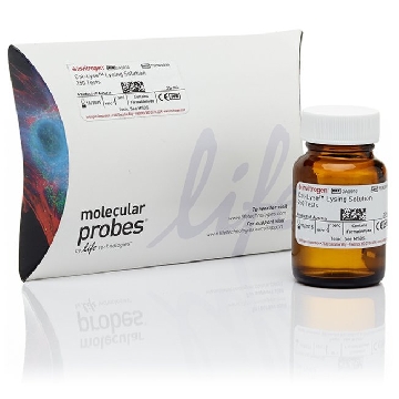 CAL-LYSE RBC LYSING SOLUTION 25 ML，GAS010，Invitrogen