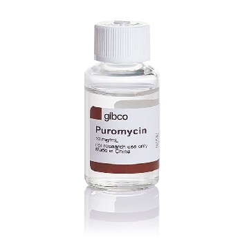 PUROMYCIN 20 ML PETG，A1113802，Applied Biosystems