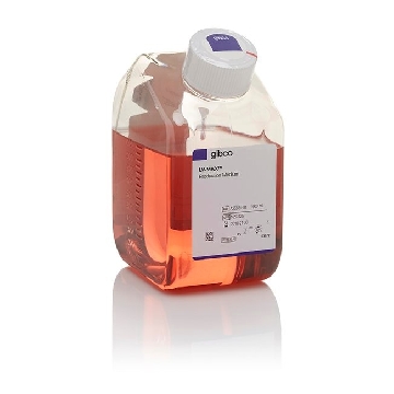 LV MAX PRODUCTION MEDIUM 6 X 1L，A3583402，Invitrogen