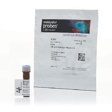 VYBRANT DYECYCLE RUBY STAIN 400 UL，V10273，Invitrogen