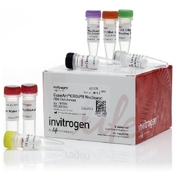 GENEART CRISPR NUC CD4 ENRICH EA，A21175，Invitrogen