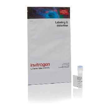 AF 647 TYRAMIDE 150 SLIDES，B40958，Applied Biosystems