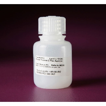 PIERCE PROTEIN G PLUS AGAROSE, 10 ML.，22852，赛默飞世尔