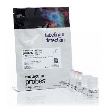 CLICK PLUS 647 PICOLYL TOOLKIT 1 KIT，C10643，Invitrogen