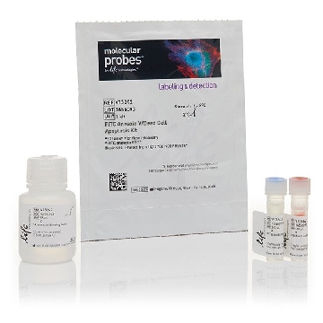 FITC ANNEXIN V/DEAD CELL APOPT 1 KIT，V13242，Invitrogen