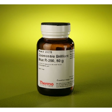 COOMASSIE BRILLIANT BLUE R-250 , 50 GM，20278，赛默飞世尔