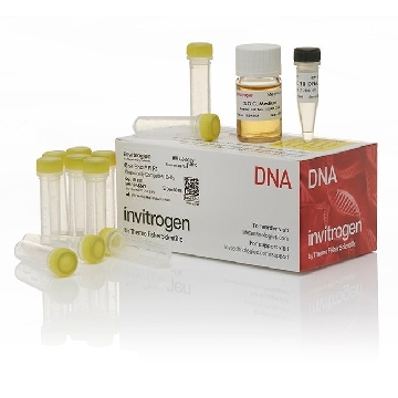 PIR1 ONESHOT CHEN 10 RXN，C101010，Invitrogen