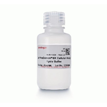 LS 6X CELL LYSIS BUFFER 50 ML，A14298，Invitrogen
