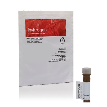 ENZCHEK CELLULASE SUBSTRATE 1 MG，E33953，Invitrogen
