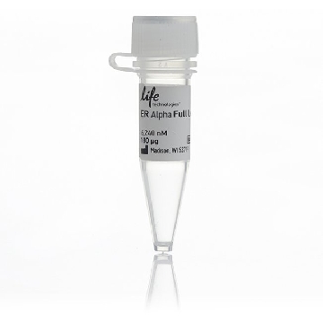 ER ALPHA STAND ALONE PROTEIN MG，A15674，Invitrogen