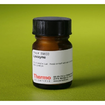 LYSOZYME, 5 GM EA，89833，赛默飞世尔