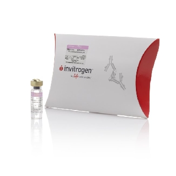REC HU EPO 10 UG 10 UG，PHC9634，Invitrogen