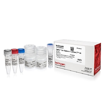 Transfer SKU TAQMAN GE CELLS-TO-CT 40 RXN，4399002，赛默飞世尔