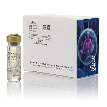 NGF 10 UG，13257019，Invitrogen