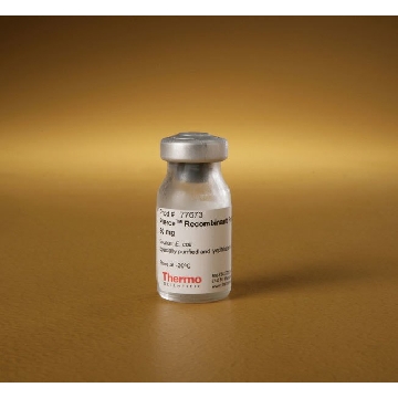 PIERCE RECOMBINANT PROTEIN A, 50 MG，77673，赛默飞世尔