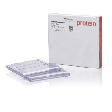 NUPAGE 3-8% TA GEL 1.0MM10W 2 PER BOX，EA0375PK2，Invitrogen