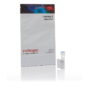 AF 488 TYRAMIDE 150 SLIDES，B40953，Invitrogen