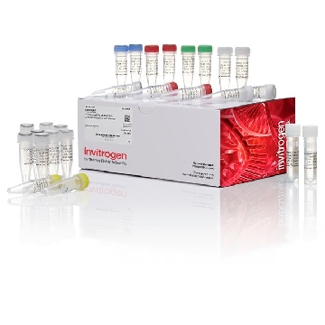 Transfer SKU RLM-RACE KIT 5/10/100 RXNS EACH，AM1700，赛默飞世尔