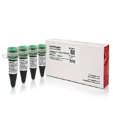 5X PLATINUM II GREEN PCR BUFF 4 X 1.25ML，14966123，Applied Biosystems