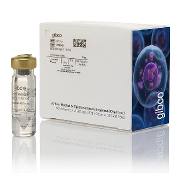 HEPES 20ML，15630106，Invitrogen