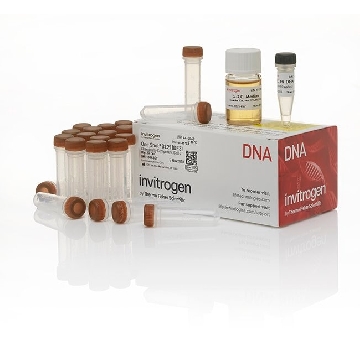 #BL21(DE3) OS 20 RXN，C600003，Invitrogen