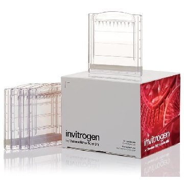 NOVEX WW 4-12% TG GEL 15W 10PK 10 PACK，XP04125BOX，Invitrogen