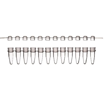 PCR, .2ML 12 STRIP THERMO-TUBE , WITH DOMED CAPS，AB1113，赛默飞世尔