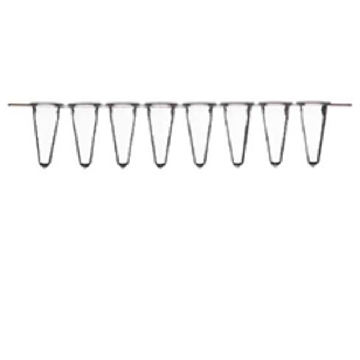 0.2ML THERMO-STRIPS LOW PROFIL E TUBES, WHITE，AB0771W，赛默飞世尔