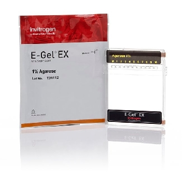 E-GEL EX GELS, 1%, 10-PAK 10 PAK，G401001，Invitrogen