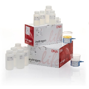 PURELINK EXPI PLASMID MEGA 4 4 REACTIONS，K210008XP，Invitrogen