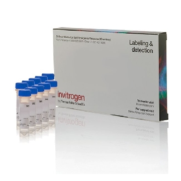 FLUO-4, AM FLUOROPURE 10 X 50 UG，F23917，Applied Biosystems