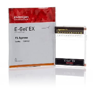 E-GEL EX GELS, 1%, 20-PAK 20 PAK，G402001，Invitrogen