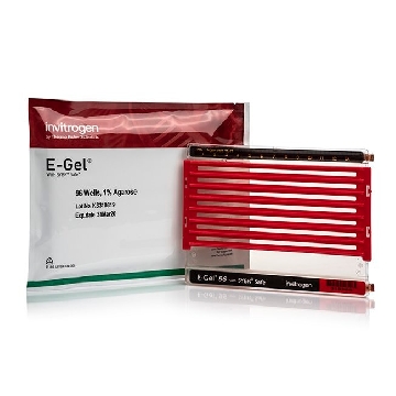 E-GEL 96 1% WITH SYBR SAFE 8 GELS，G720801，赛默飞世尔