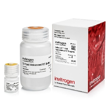 ADVANCED FAST BULK RT 2500 RXN 2500RXN，A39110，Applied Biosystems