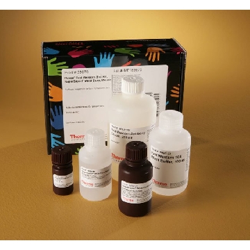 PIERCE FAST WESTERN BLOT KIT, SUPERSIGNAL WEST DURA，35070，赛默飞世尔