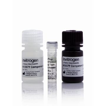 PHOSPHALIGHT EXP ASSAY KIT 192 1 KIT，N10577，Invitrogen