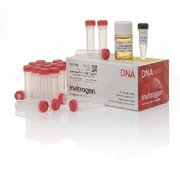 #BL21(DE3)PLYSE OS KT 20 RXN，C656503，Invitrogen