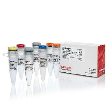 SUPERSCRIPT IV 1-STEP SY DNASE 100 RXNS，12595100，Invitrogen
