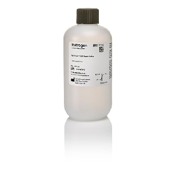 Probes CYTOVISTA WASH BUFFER 200 ML，V11312，赛默飞世尔