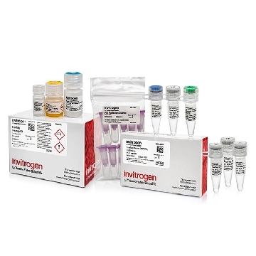TRUETAG DONOR DNA KIT LUCIFERA 1 KIT，A42994，Applied Biosystems