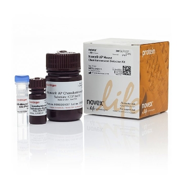 AP MOUSE CHEMI DETECTION KIT AP Mouse Chemi Detection Kit，SLF1021，Invitrogen