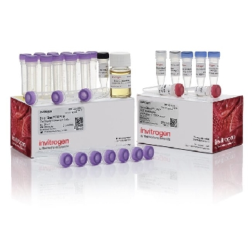 ZERO BLUNT TOPO/ TOP10 (25) 25 RXN，K280020，Invitrogen
