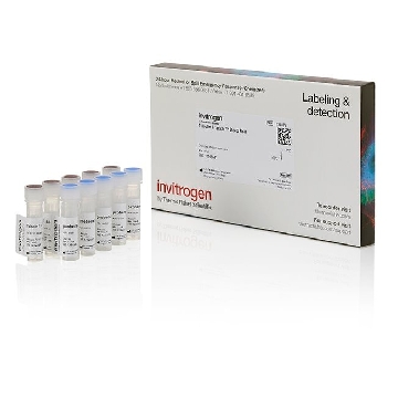 Probes TUBULIN TRACKER DR - 5 1 SET，T34076，赛默飞世尔