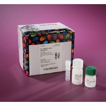 HRV3C PROTEASE 10,000 UNITS (5 ML)，88947，赛默飞世尔
