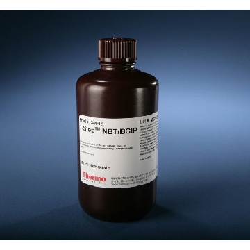 1-STEP NBT/BCIP, 250 ML. FORM，34042，赛默飞世尔
