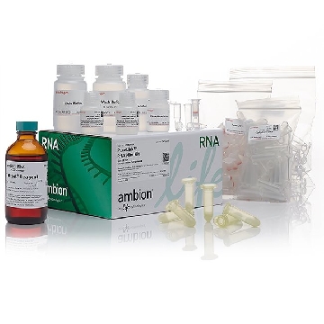 100 PLG X TRIZOL PLUS KIT EA，A33254，赛默飞世尔