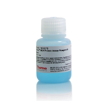 PIERCE BCA PROTEIN ASSAY REAGENT B, 25 ML，23224，赛默飞世尔