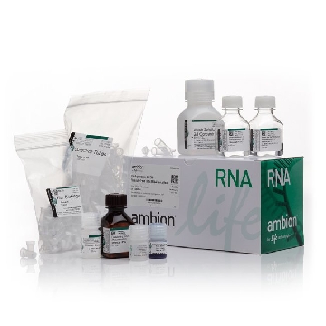 RNAQUEOUS-4PCR KIT 1 KIT (2 PTS)，AM1914，Applied Biosystems
